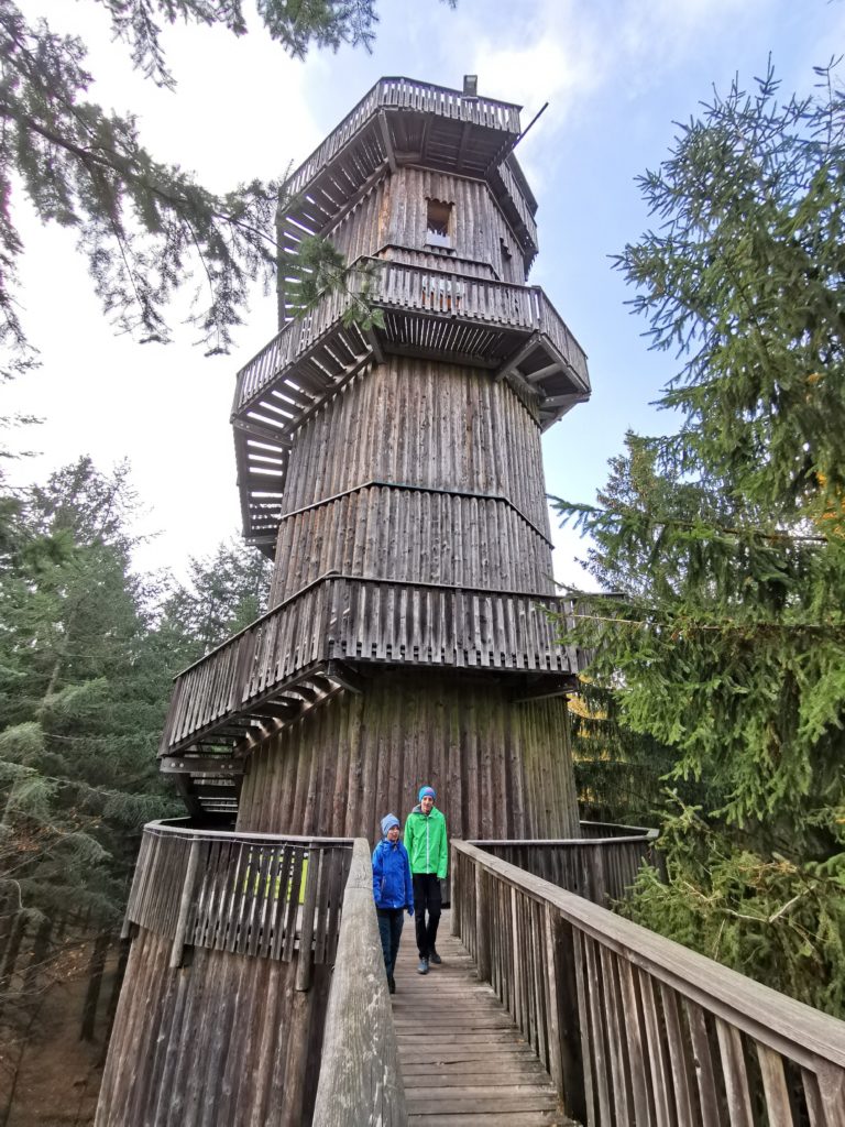 Der 40 Meter hohe Aussichtsturm am Baumkronenweg Kopfing