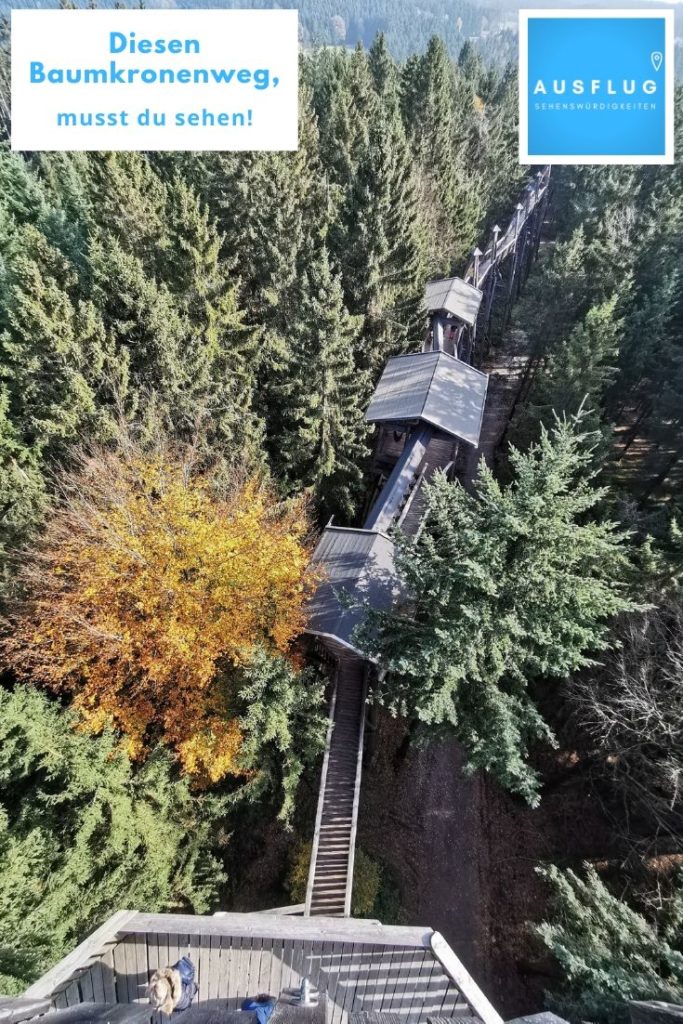 Baumkronenweg Kopfing merken