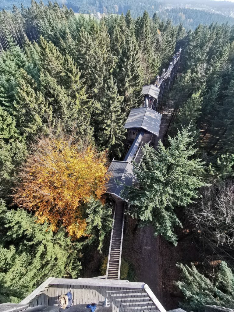 Der Baumkronenweg Kopfing: Über den Baumwipfeln durch den Wald wandern