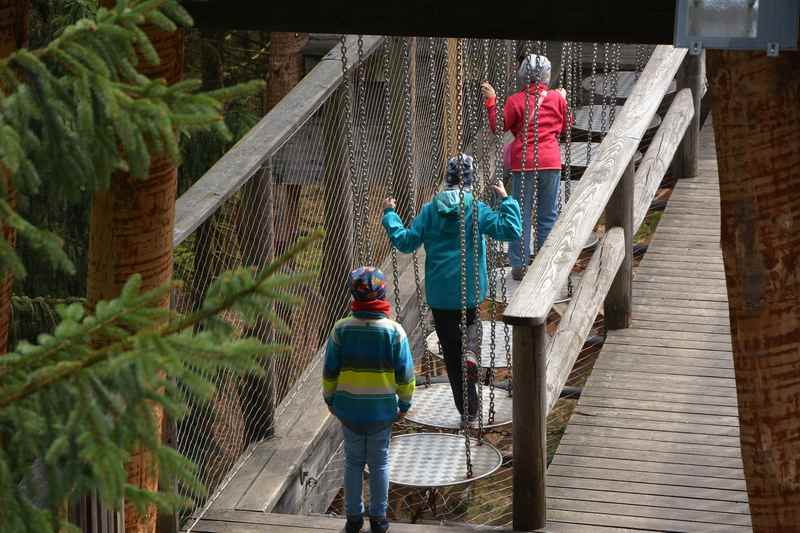 Kinder am Baumkronenweg Kopfing:  Nach dem Aussichtsturm kommt ein Abschnitt zum Balancieren für die Kinder 