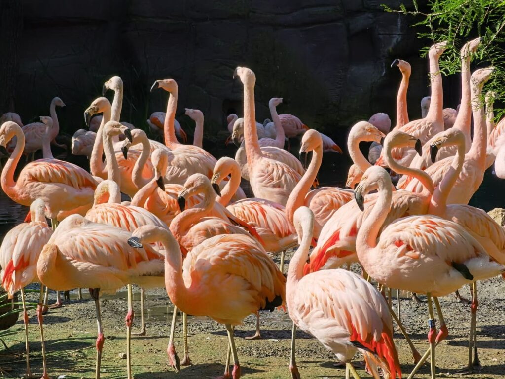 Der Zoo ist Leipzig ist der größte Zoo in Europa und damit eine der meistbesuchten Leipzig Sehenswürdigkeiten