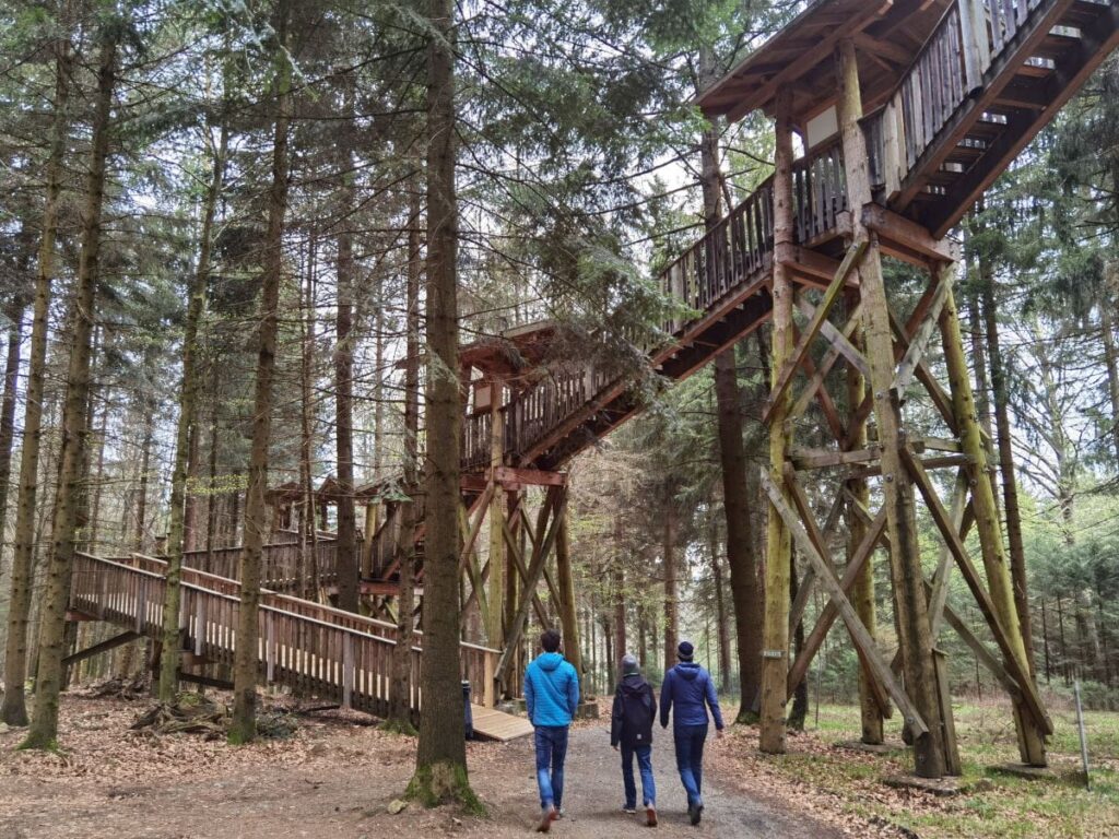 BAUMKRONENWEG KOPFING So Ist Der Ausflug Wirklich 