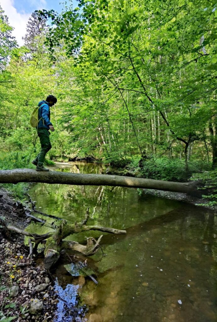 Natursehenswürdigkeiten Deutschland - die Maisinger Schlucht am Starnberger See