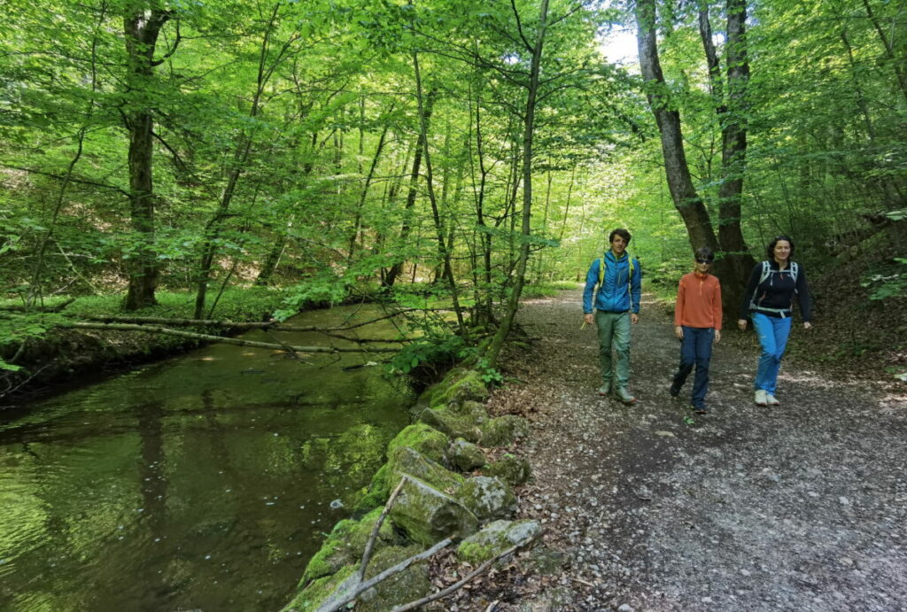 Starnberger See Sehenswürdigkeiten mit Kindern - ab in die Maisinger Schlucht!