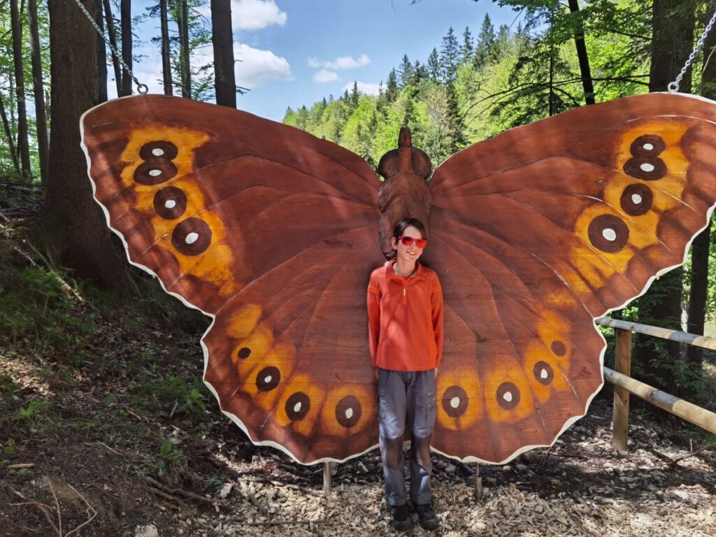 Bayrischzell Sehenswürdigkeiten mit Kindern entdecken - der Naturerlebnisweg beim Kaiserlift Kufstein