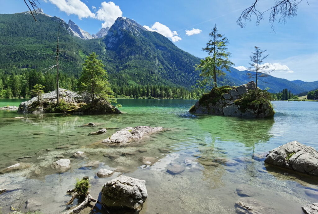 Magische Berchtesgaden Sehenswürdigkeiten - der Zauberwald am Hintersee Ramsau