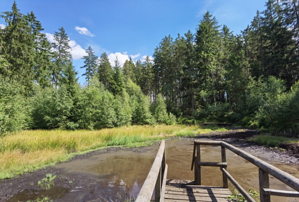 besondere Fichtelgebirge Sehenswürdigkeiten - das Moorbad Fleckl