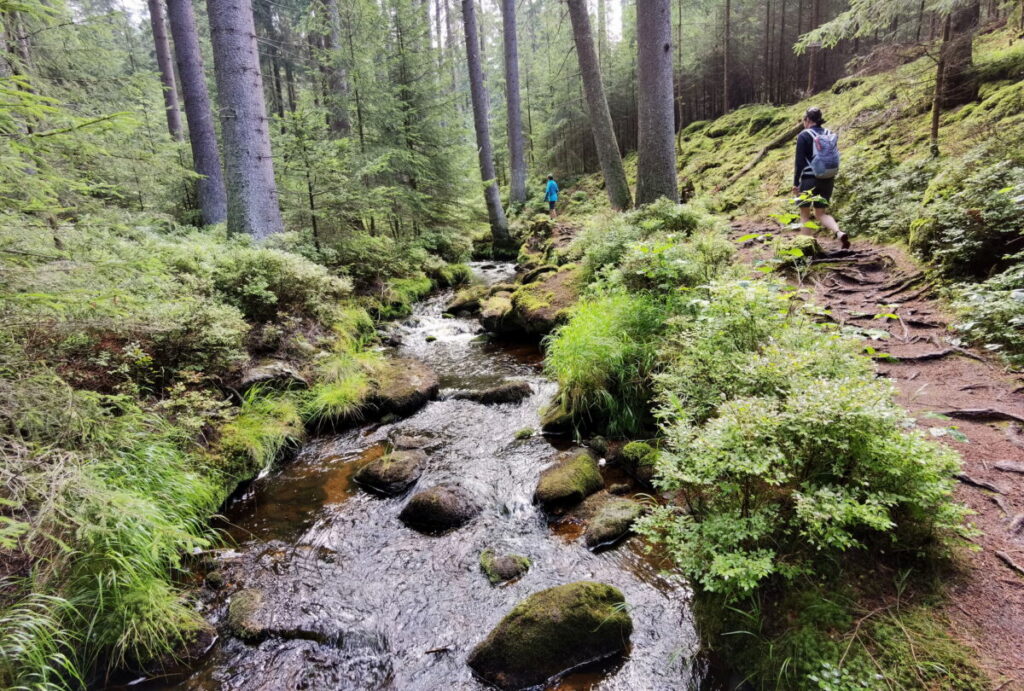 Fichtelgebirge Sehenswürdigkeiten beim Wandern entdecken: Am Weißen Main zum Ochsenkopf wandern