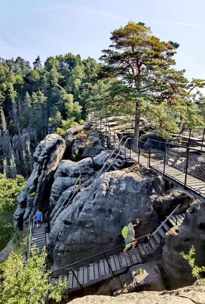 Sehenswürdigkeiten Tschechien - die Felsenburg Falkenstein in der Böhmischen Schweiz